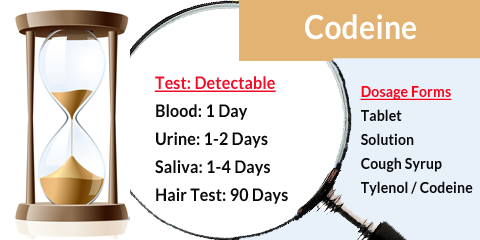 Codeine in System Drug Screening Chart