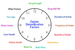 a chart showing factors affecting opiate detoxification