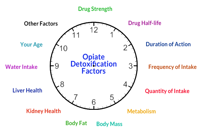 a chart showing factors affecting opiate detoxification