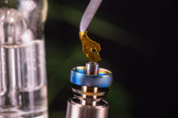 Dabs