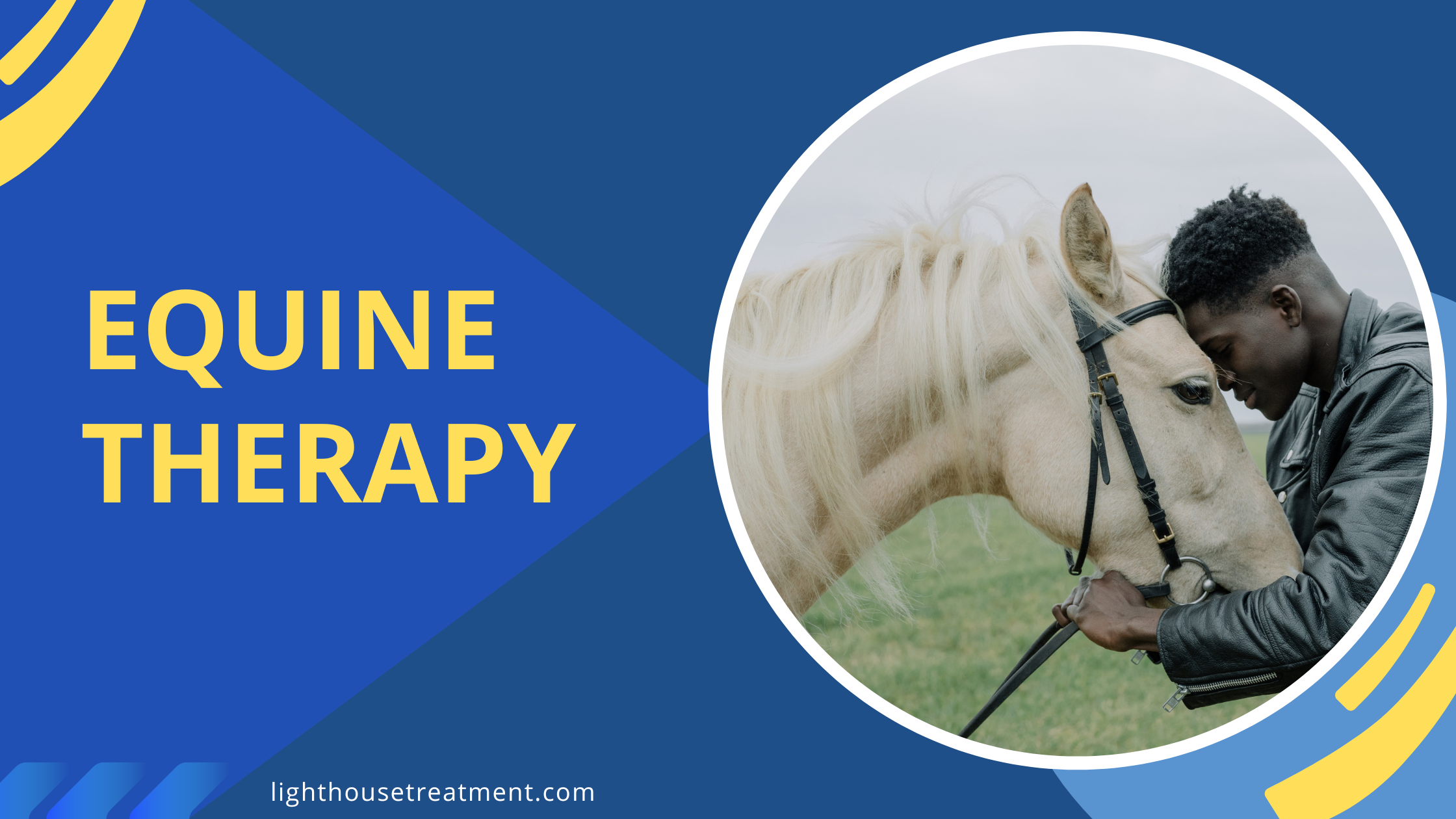 Equine Therapy