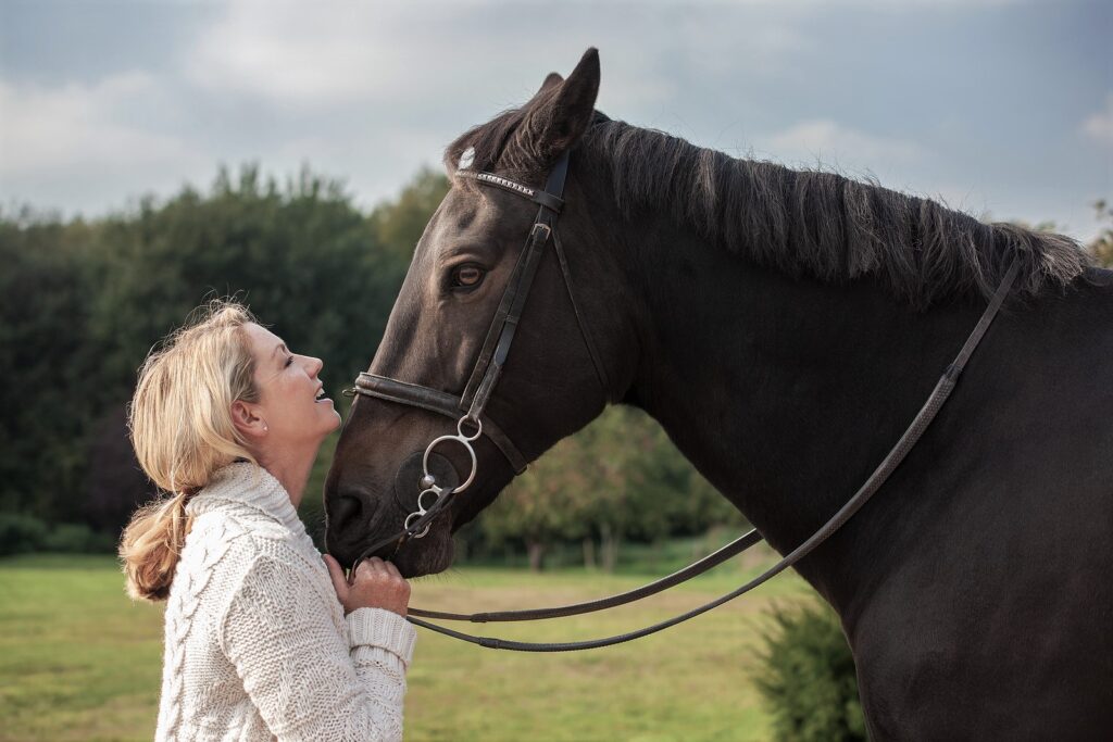 Equine Addiction Therapy