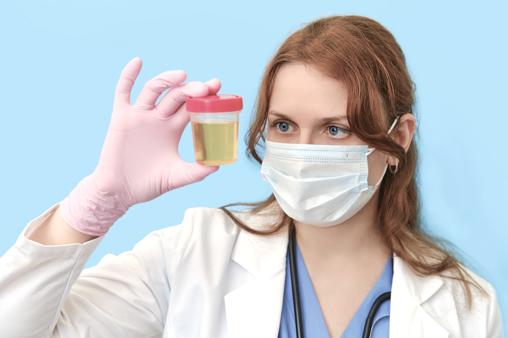 No THC Mean On A Drug Test